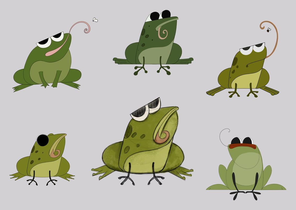 01c-Karolina-M-12-frog various
